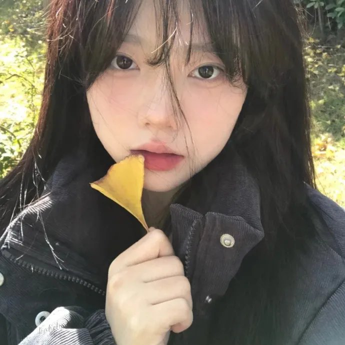 明星志愿2