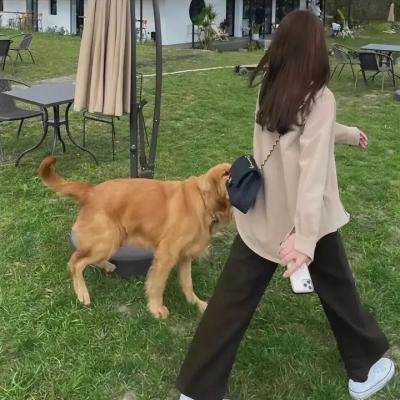 超能透明人